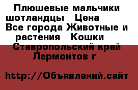 Плюшевые мальчики шотландцы › Цена ­ 500 - Все города Животные и растения » Кошки   . Ставропольский край,Лермонтов г.